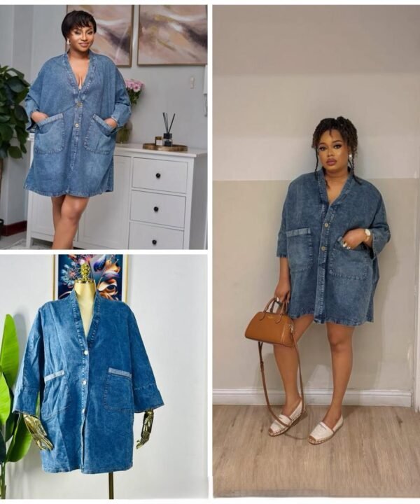 Demin Dress Free Size