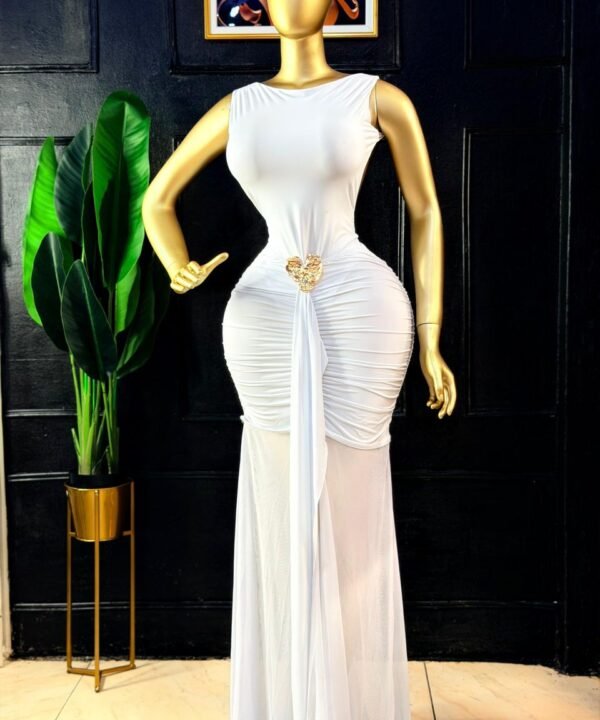 Ladies Elegant Dress