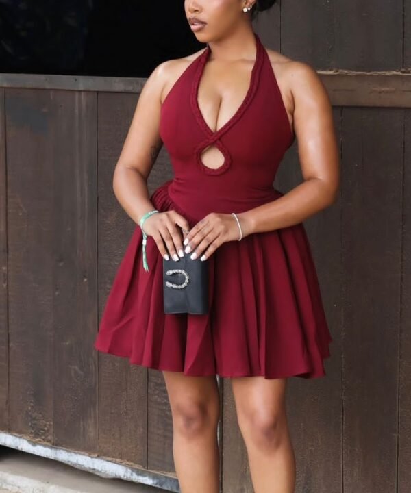 Halter Neck Skater Dress