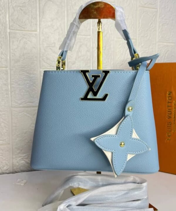 Louis Vuitton Capucines Handbag