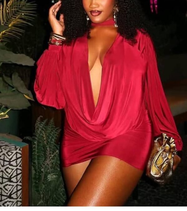 Long Sleeved Mini Dress