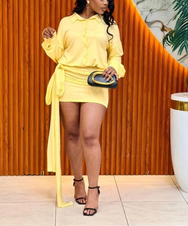 Ladies Mini Dress