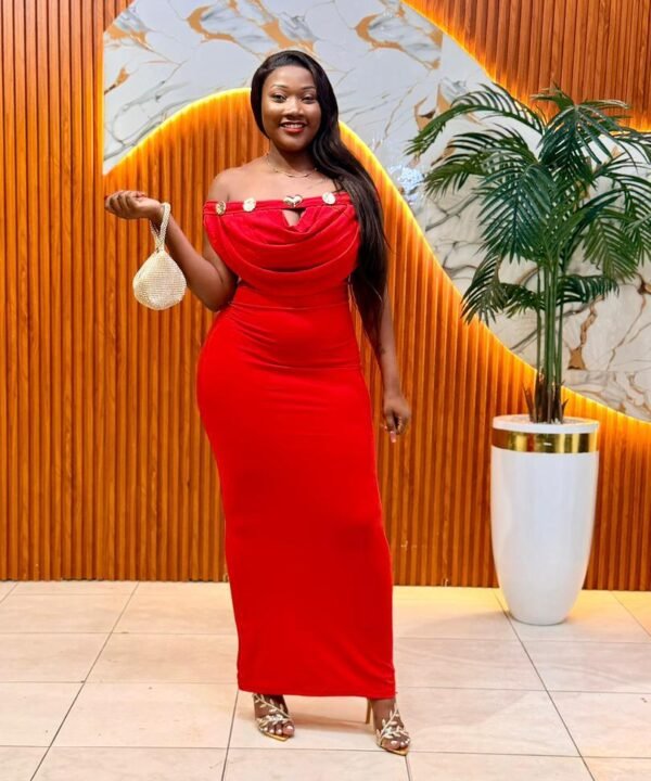 Bodycon Evening Dress